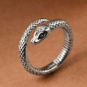 Ring Design 20.1