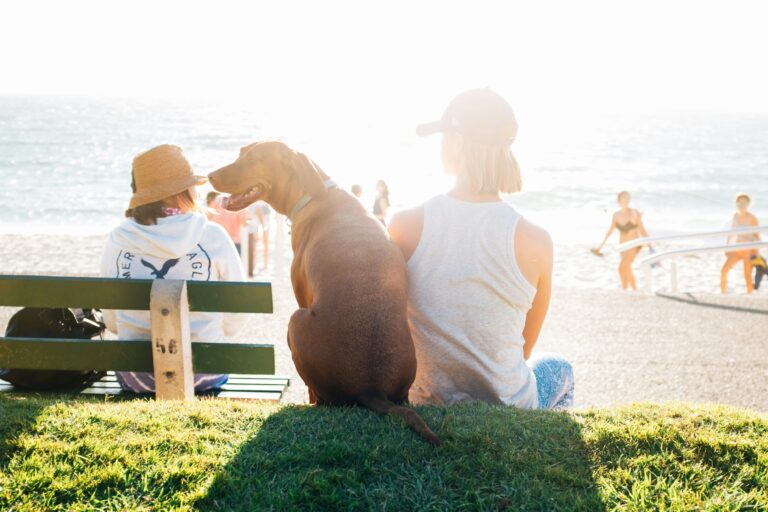 A woman sitting with a dog on a beach while wearing the best fabrics for summer.